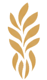 Logo Dra. Francis Koller